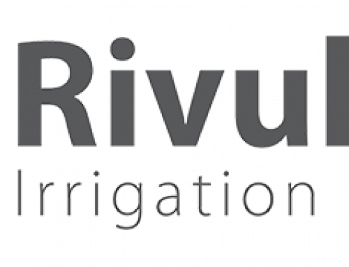 rivulis