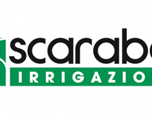 scarabeli